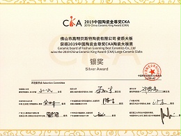 2019中国陶瓷金尊奖银奖（瓷质大板）